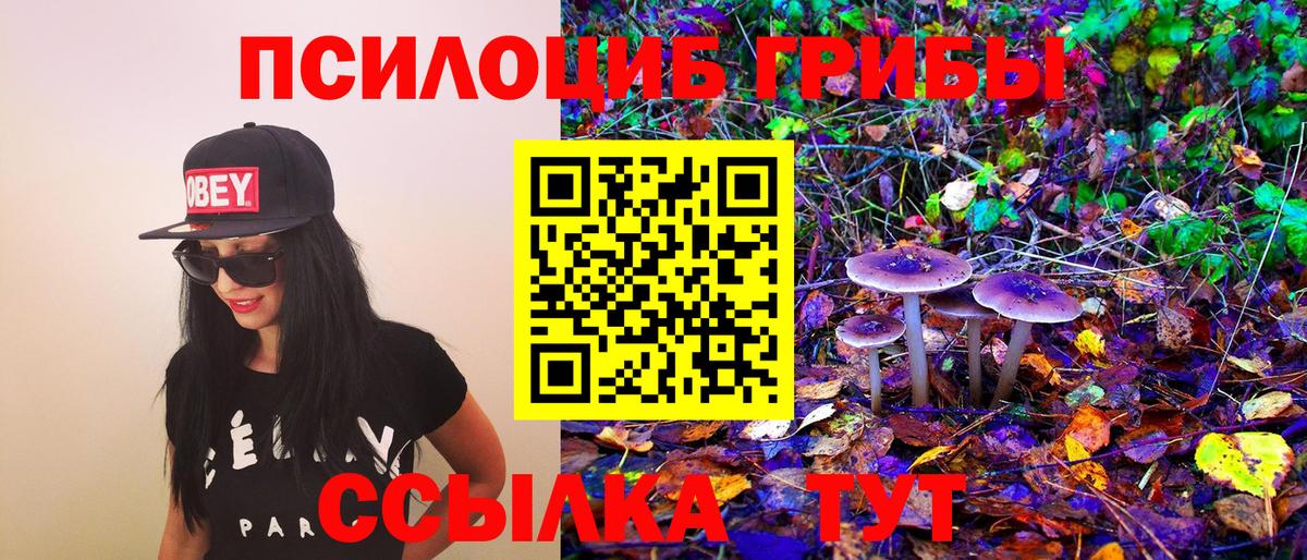 Пушкино  Галлюциногенные грибы Magic Shrooms  купить наркотики цена  Вход с VPN 
