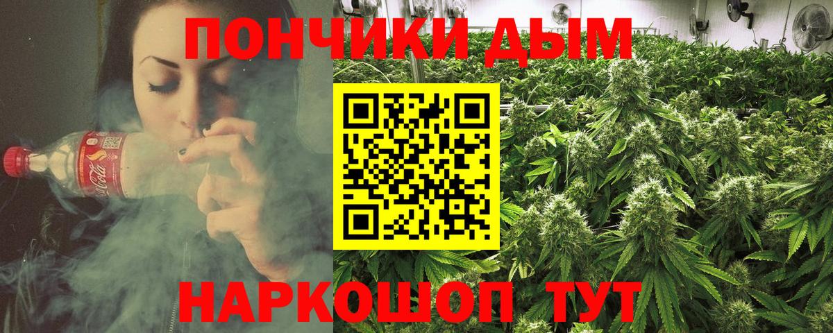 Бошки Шишки THC 21% Пушкино